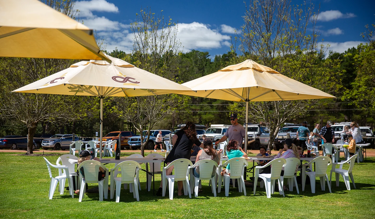 Guests enjoying outdoor tables beneath yellow umbrellas on the brewery lawn.