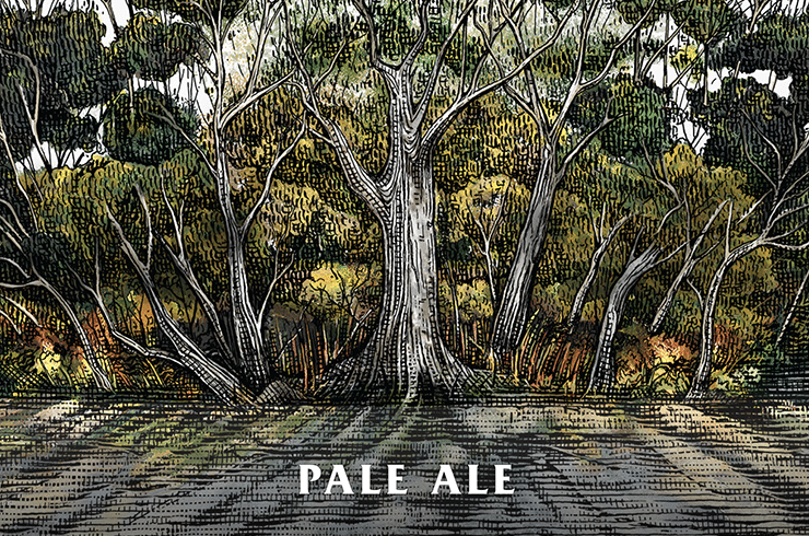 Old Coast Road Brewery Pale Ale can – fruity craft beer with low malt flavour and mild bitterness